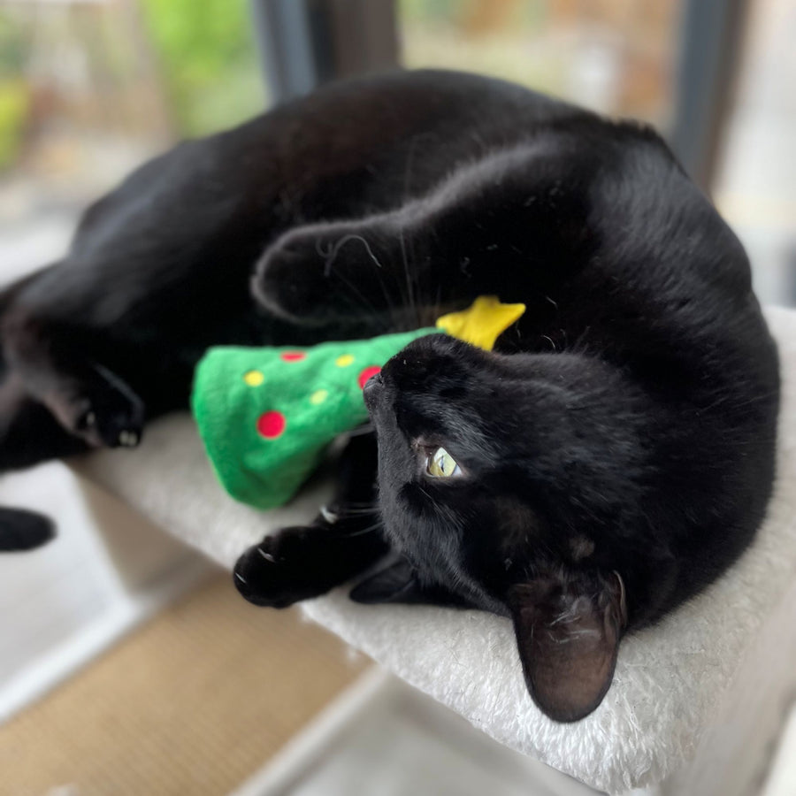 A black cat playing with a Christmas tree-shaped fabric toy with a red and yellow bow on a white surface.