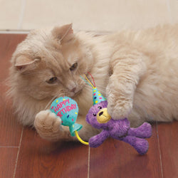 KONG Cat Birthday Teddy