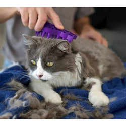 KONG Cat Zoom Groom Brush and Massager