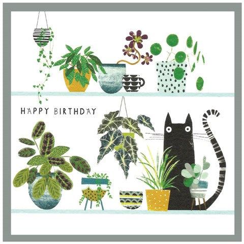 Margo, Happy Birthday Cat & Plants on Shelves