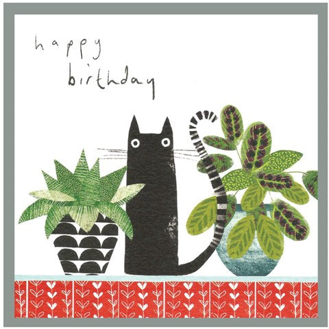 Margo, feliz cumpleaños gato y 2 plantas