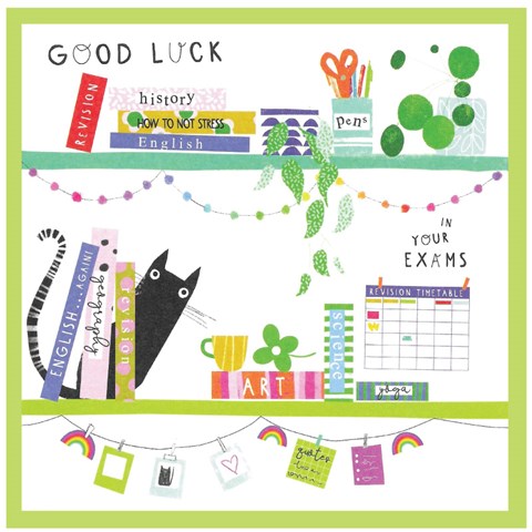 玛戈，祝你考试好运