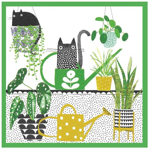 玛戈、植物和猫