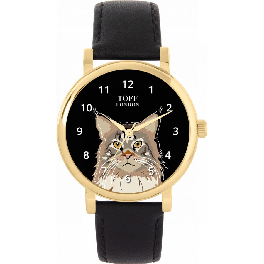 Maine Coon Cat Watch