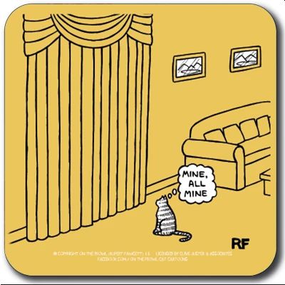 我的，所有我的过山车