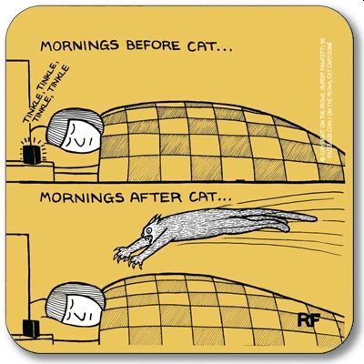 Mornings before Cat Coaster, Rupert Fawcett