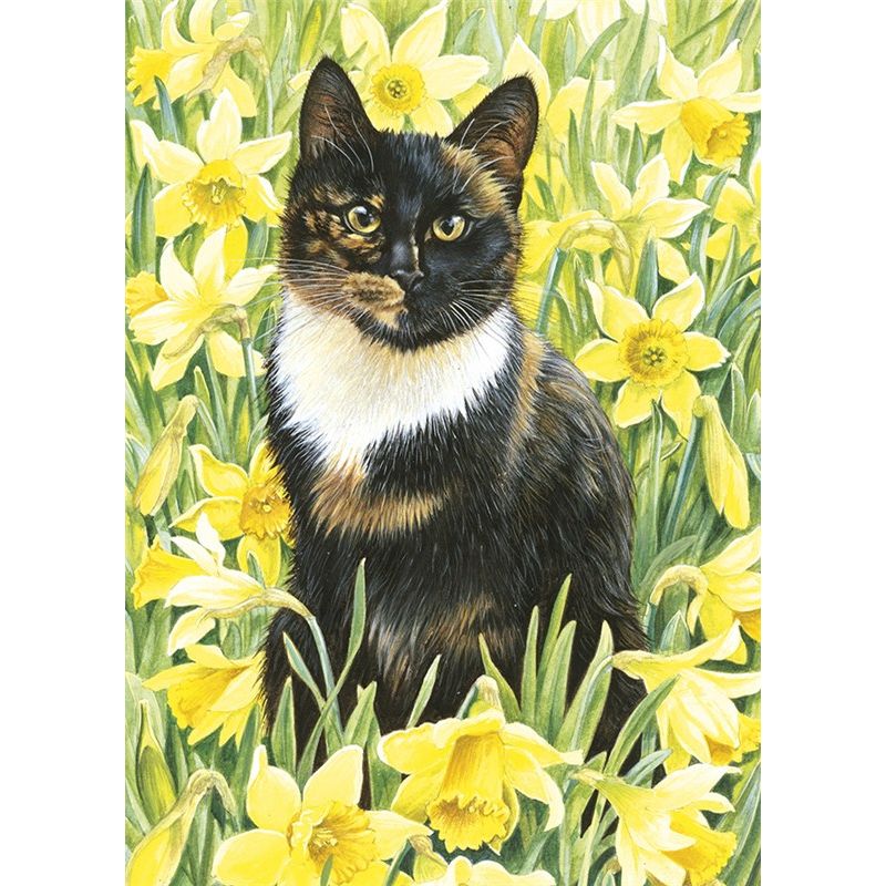 Motley in Wild Daffodils Greetings Card