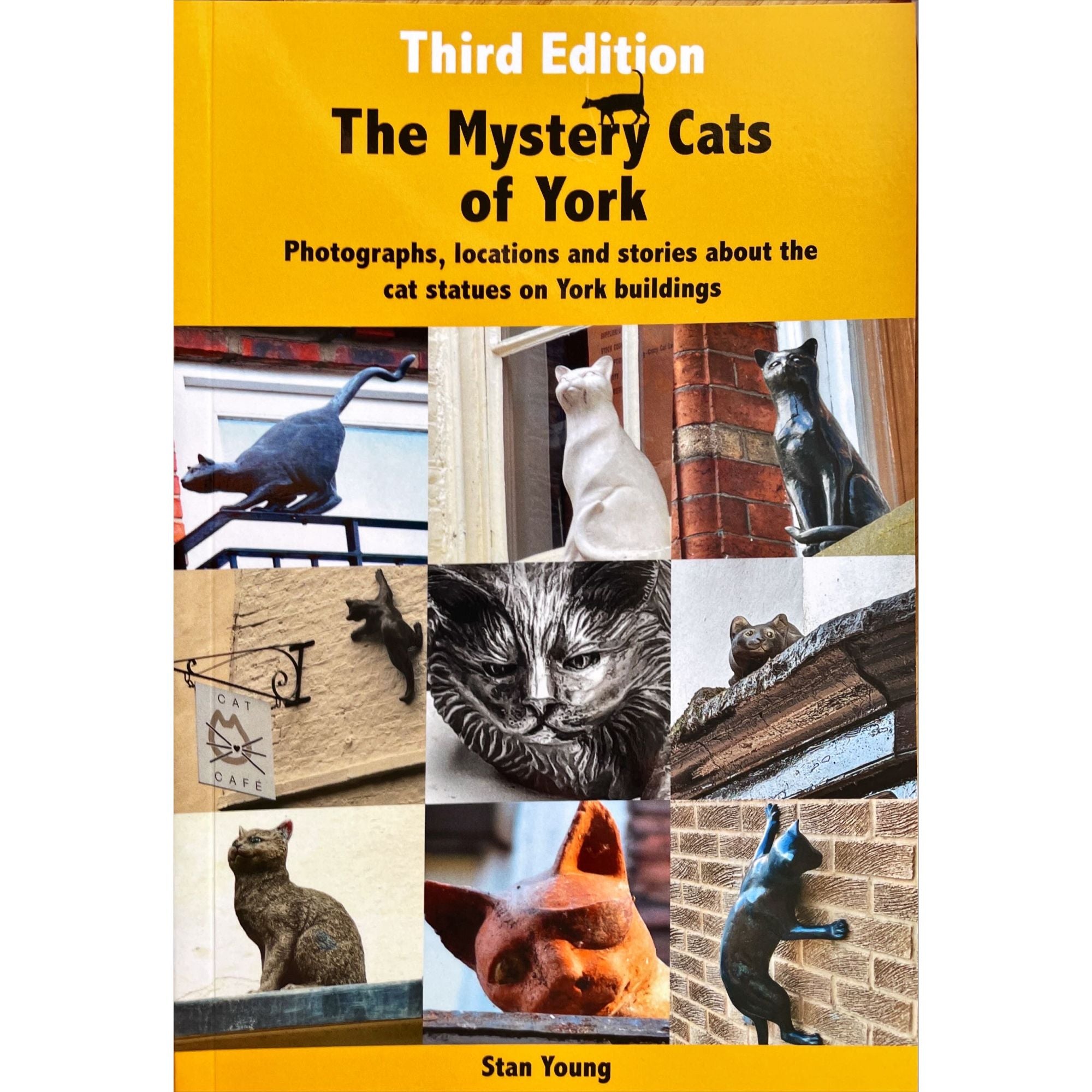Los gatos misteriosos de York