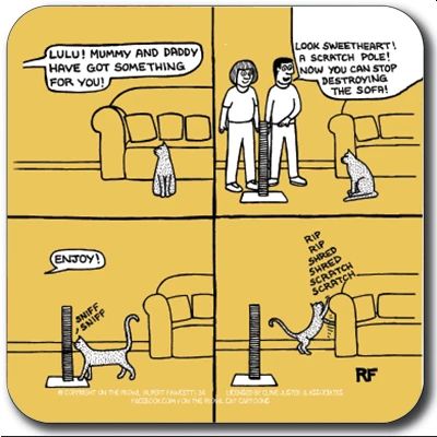 New Scratch Post Coaster