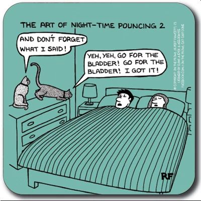 Night-Time pouncing 2 Coaster