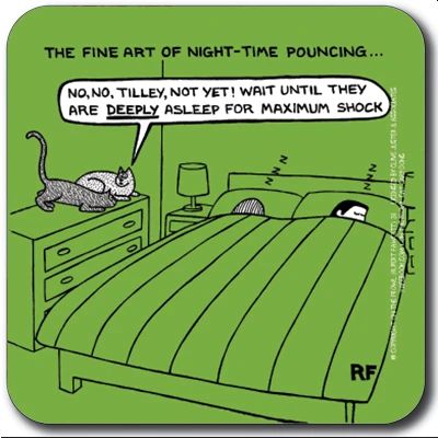 Night-Time Pouncing Coaster