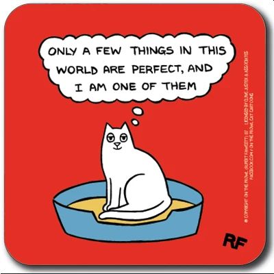 Only a Few Things are Perfect coaster
