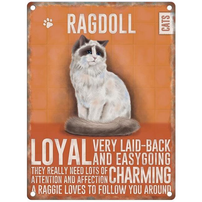 Colgante de metal de gato Ragdoll