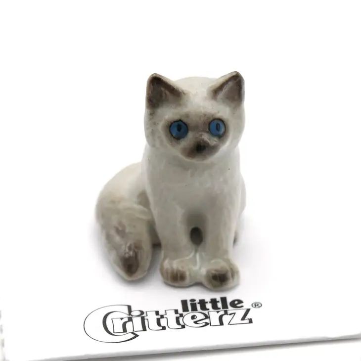 Gatito Ragdoll Miniatura Porcelana