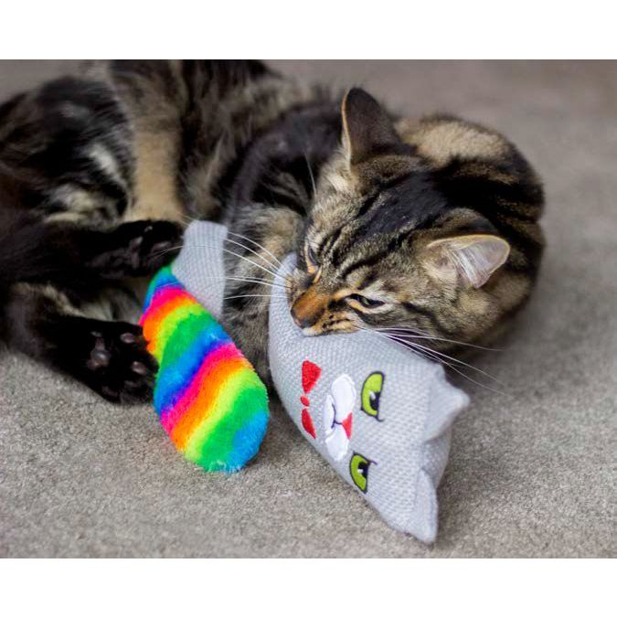 Rainbow Catnip Kicker