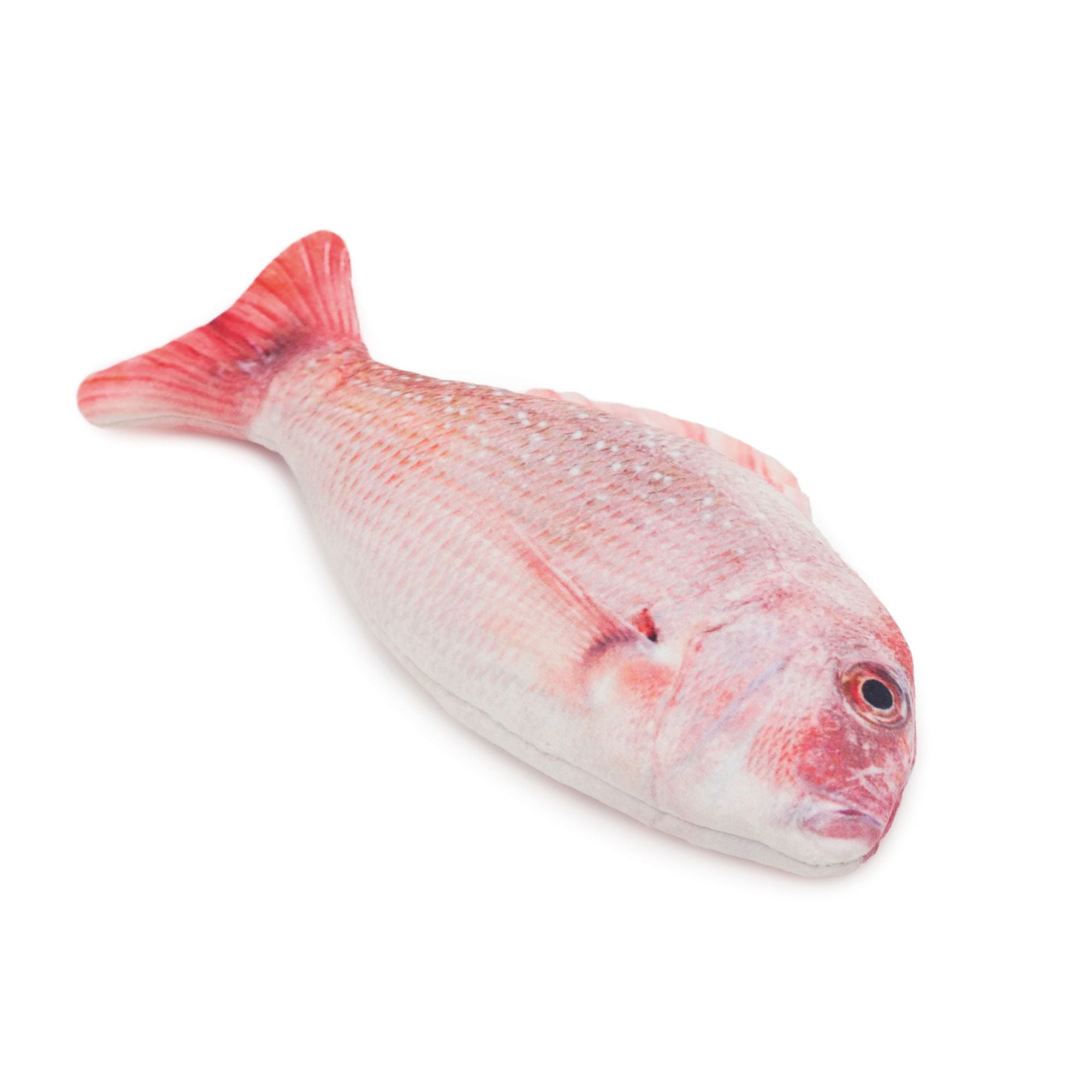 猫薄荷红鲷鱼