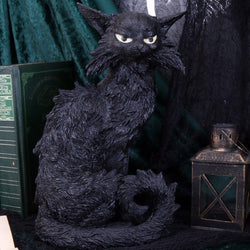 Gato negro de Salem