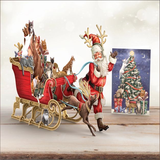 Santa's Sleigh Pop-up Christmas Card
