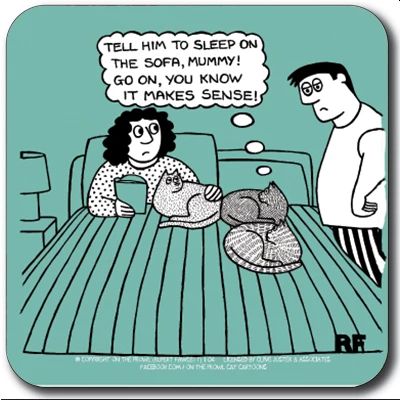 Sleep on the Sofa Coaster