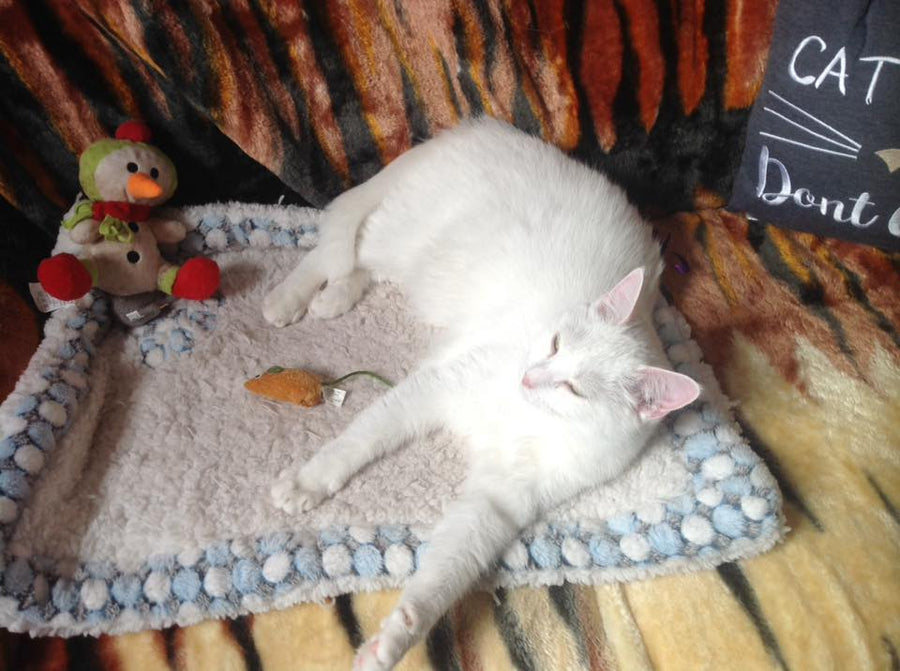 Manta de lujo para mascotas con copos de nieve