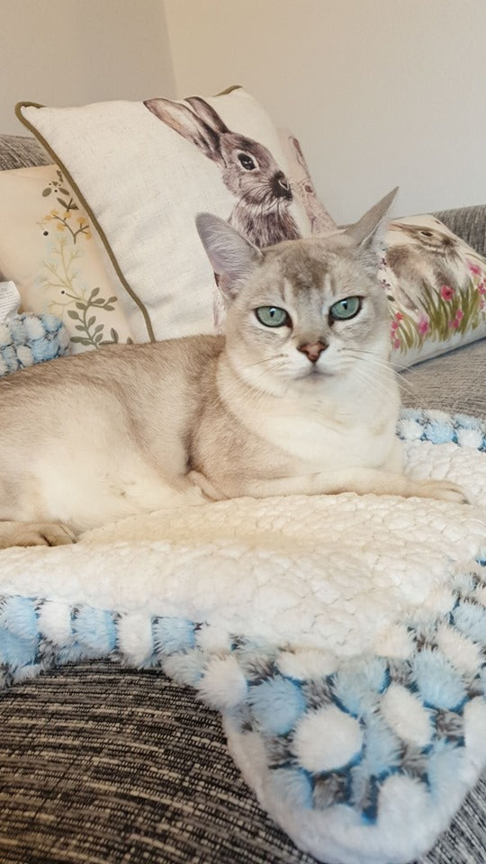 Manta de lujo para mascotas con copos de nieve