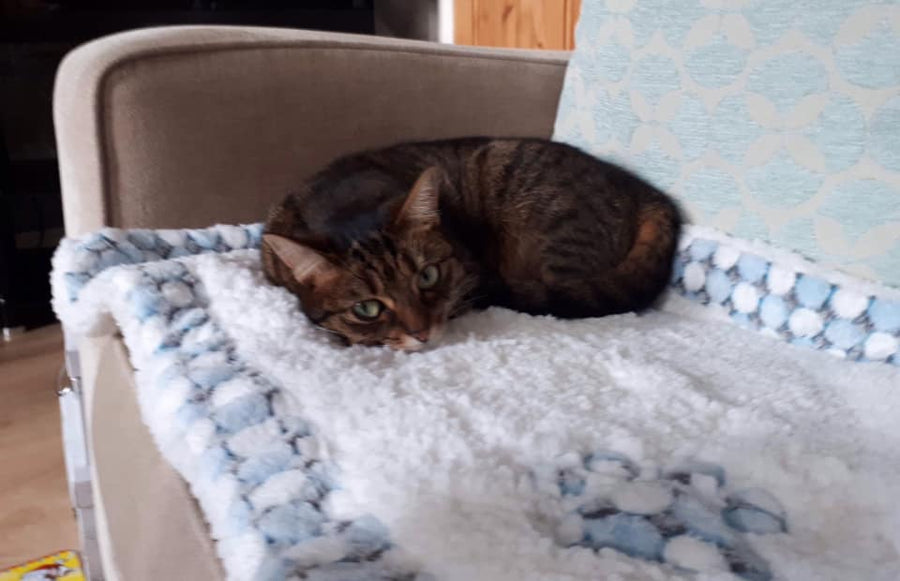 Manta de lujo para mascotas con copos de nieve