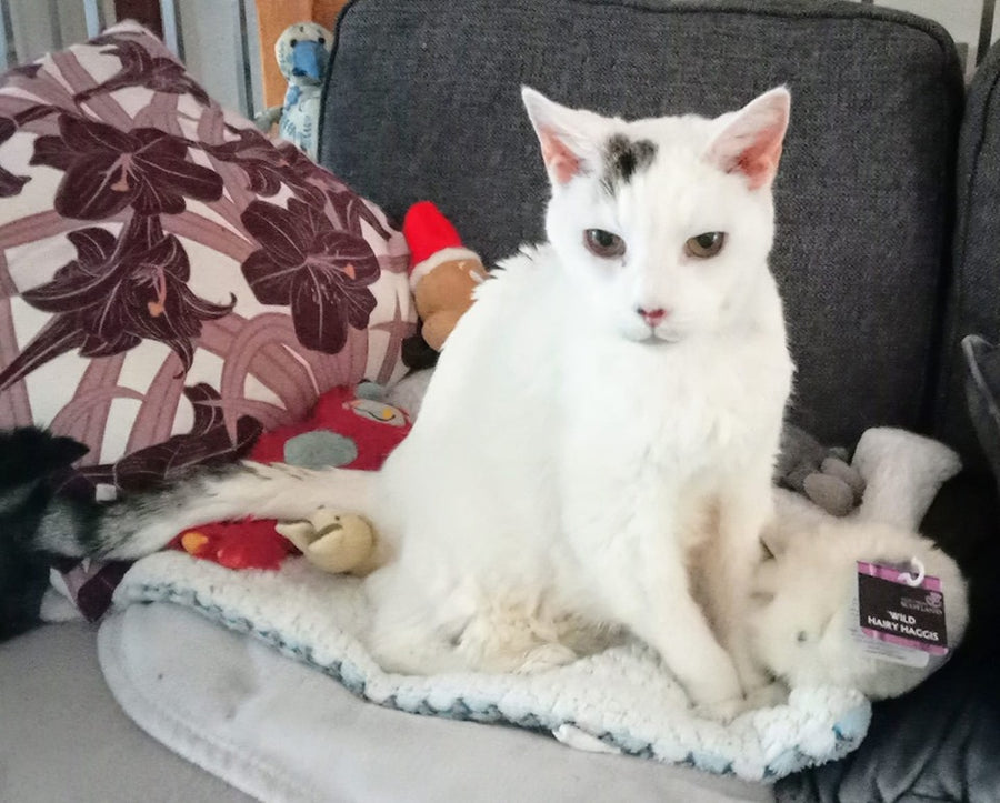 Manta de lujo para mascotas con copos de nieve