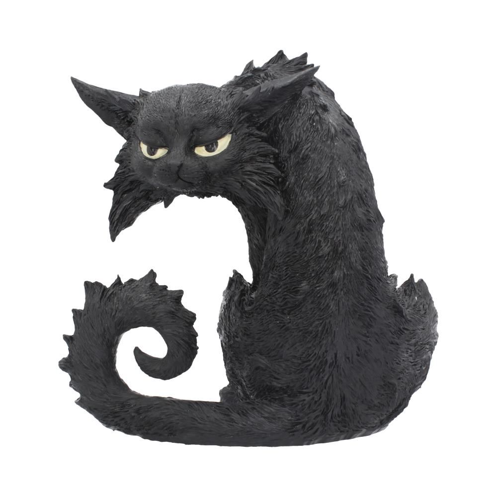 gato negro despecho