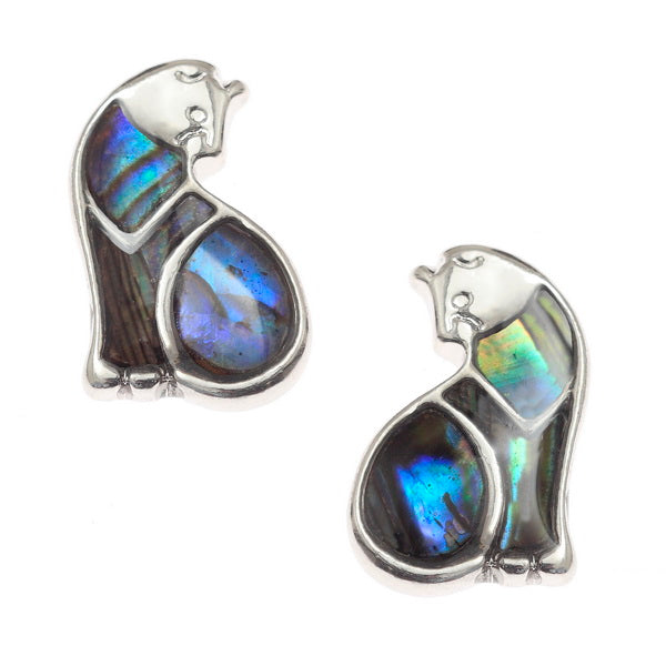 Aretes de concha paua