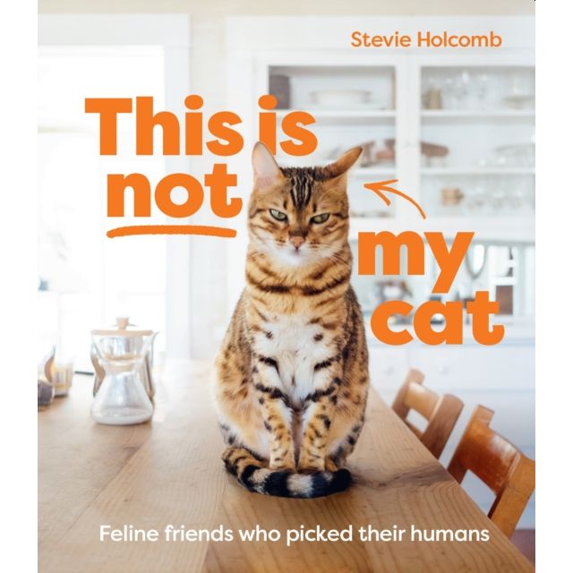 This is not my cat : Feline friends who picked their humans