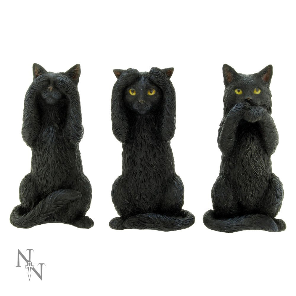Three Wise Felines
