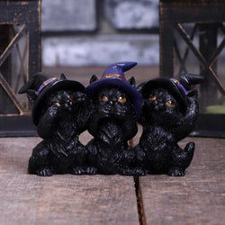 Tres gatos negros sabios