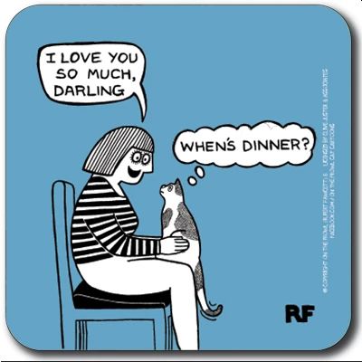 Whens Dinner Coaster