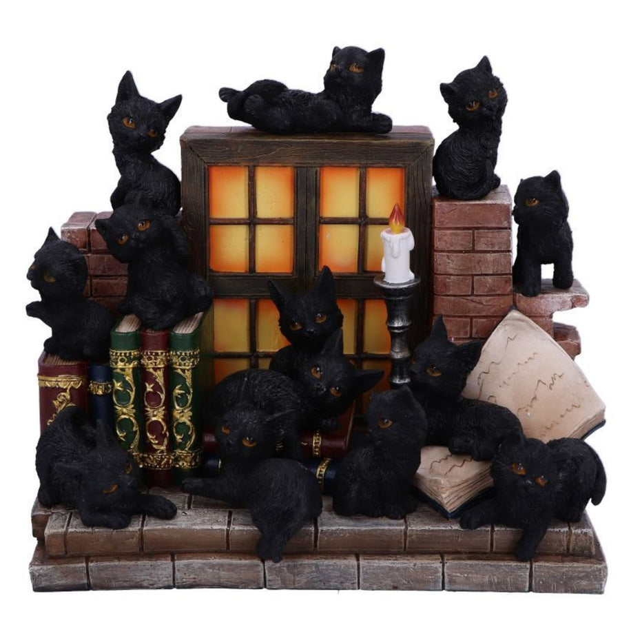 Soporte para gatos con arena para brujas