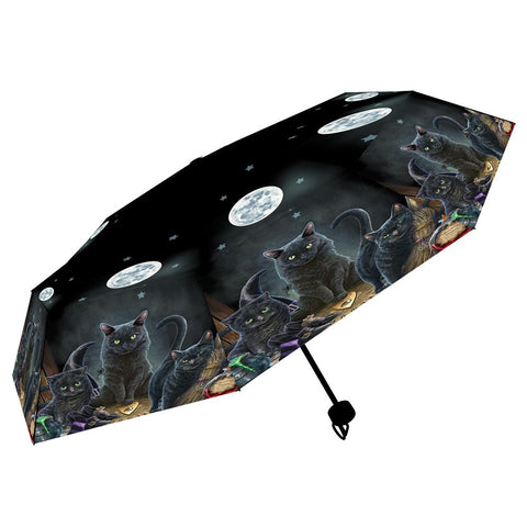 Cat Umbrellas