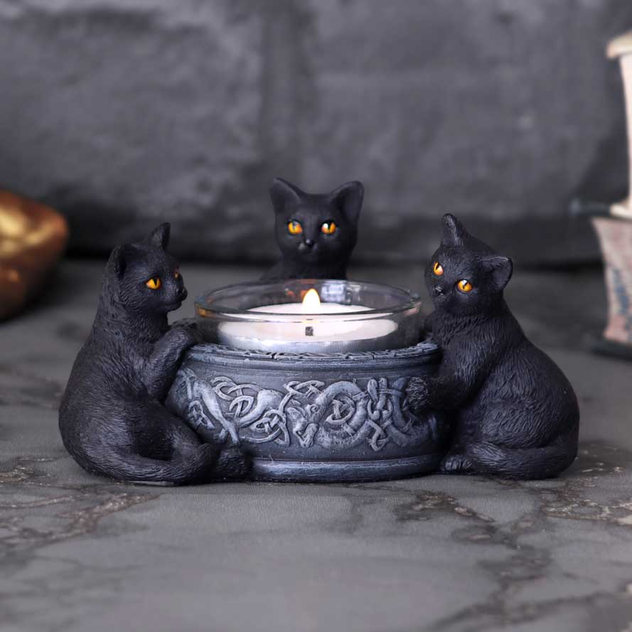 Familiar Trio 黑猫小烛台
