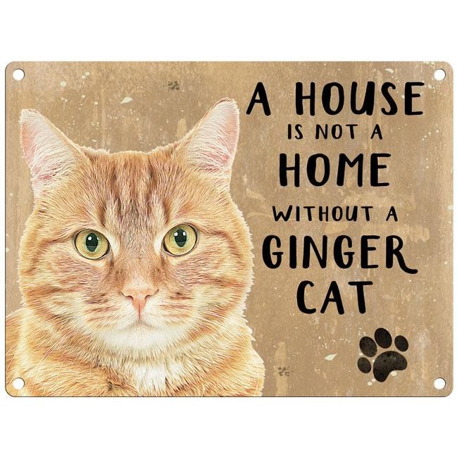 A House is not a Home, Ginger Cat Dangler