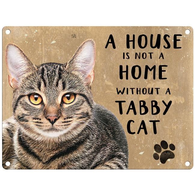 A House Magnet, Tabby