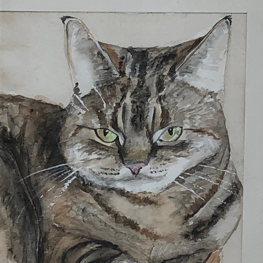 Gato Vintage Tabby ORIGINAL Acuarela