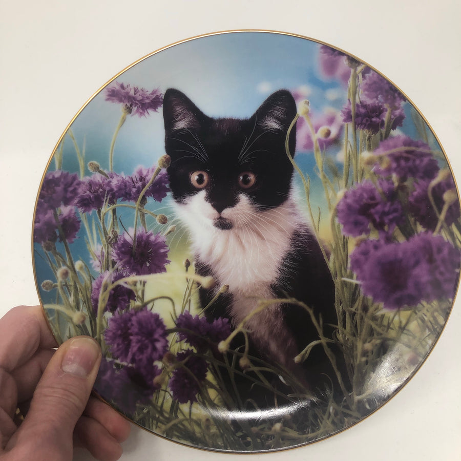 Vintage Set of Tiny Treasures Plates with Certificate