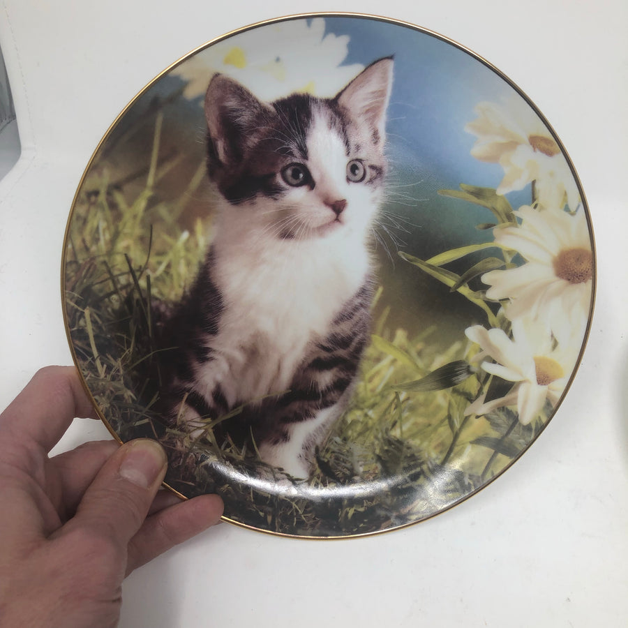 Vintage Set of Tiny Treasures Plates with Certificate