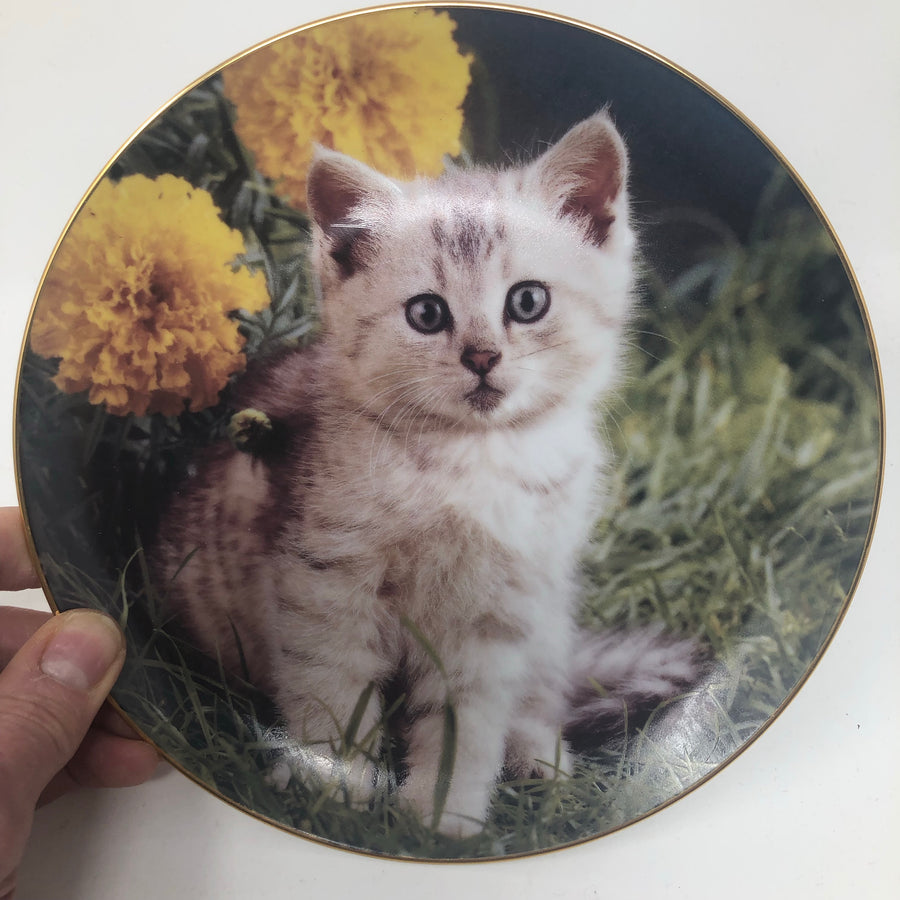 Vintage Set of Tiny Treasures Plates with Certificate