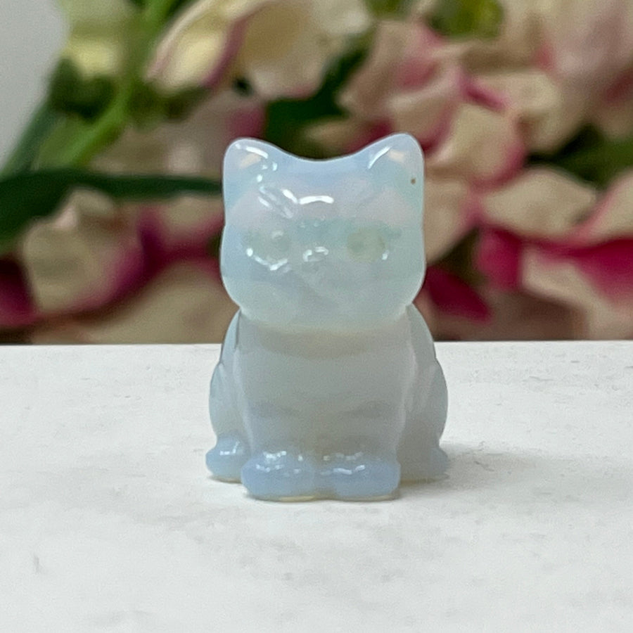 #6 蛋白石小猫六月生日石