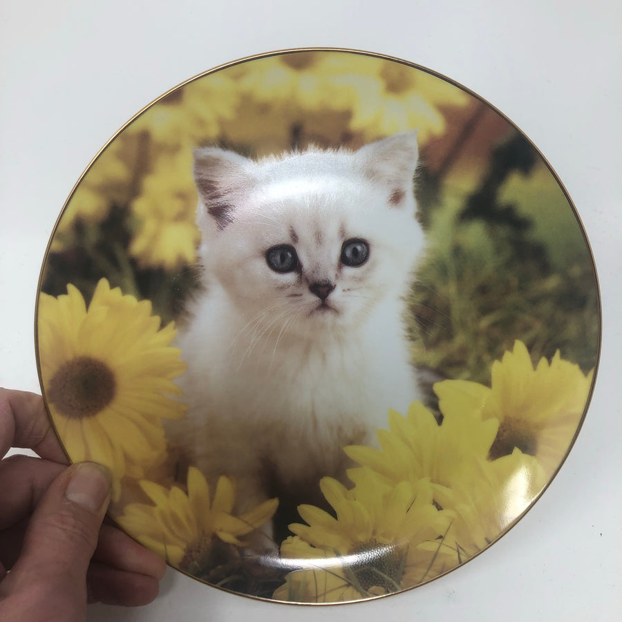 Vintage Set of Tiny Treasures Plates with Certificate