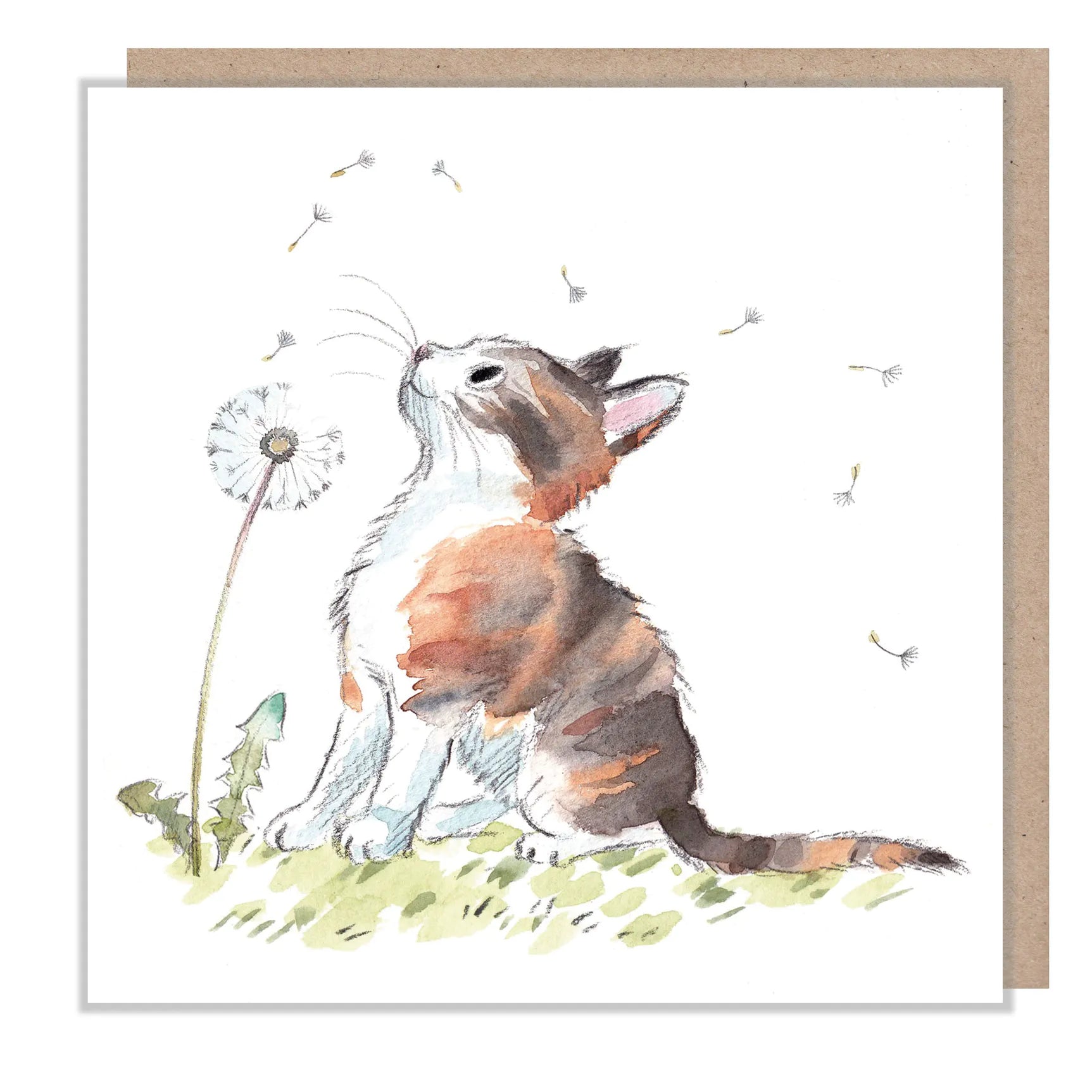 Tortie y blanco con diente de león