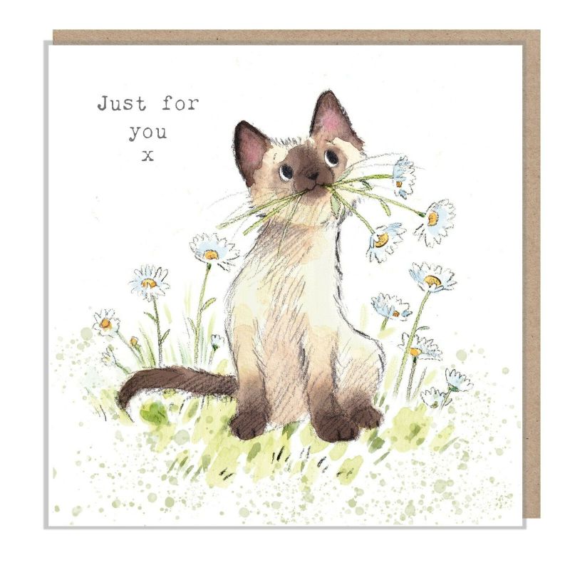 Siamese with Daisies, Just for You Card