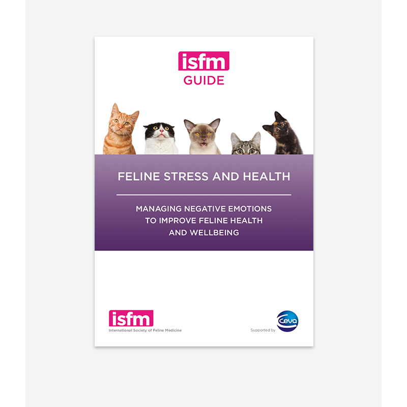 Guía ISFM para el estrés y la salud felina