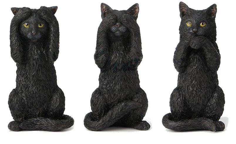 三只聪明的猫科动物