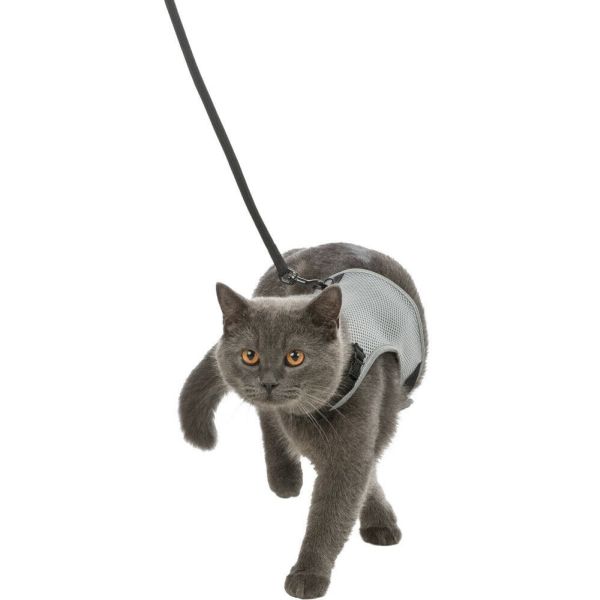 Cat Harness and Lead, 24-42cm