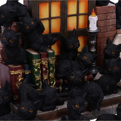 Soporte para gatos con arena para brujas